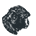 image of a monkey head